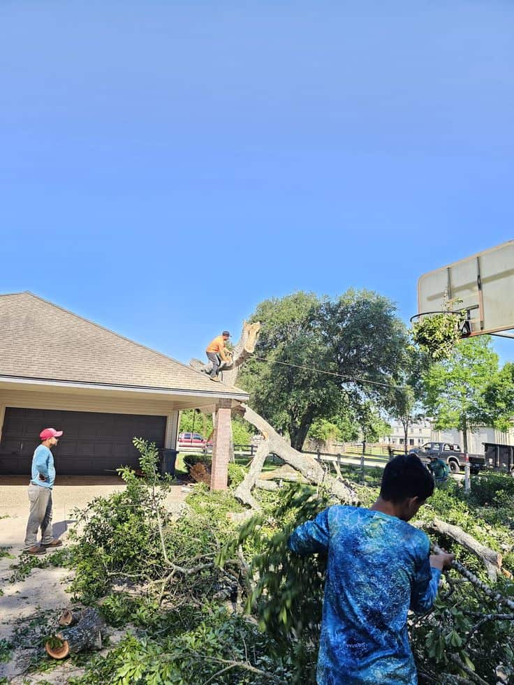 Erik Fuentes, founder of Erik's Tree & Lawn Care Services